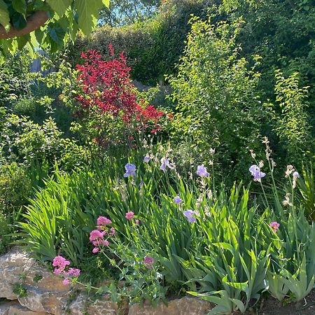 Willa Le Jardin De Lau Aubignan Zewnętrze zdjęcie