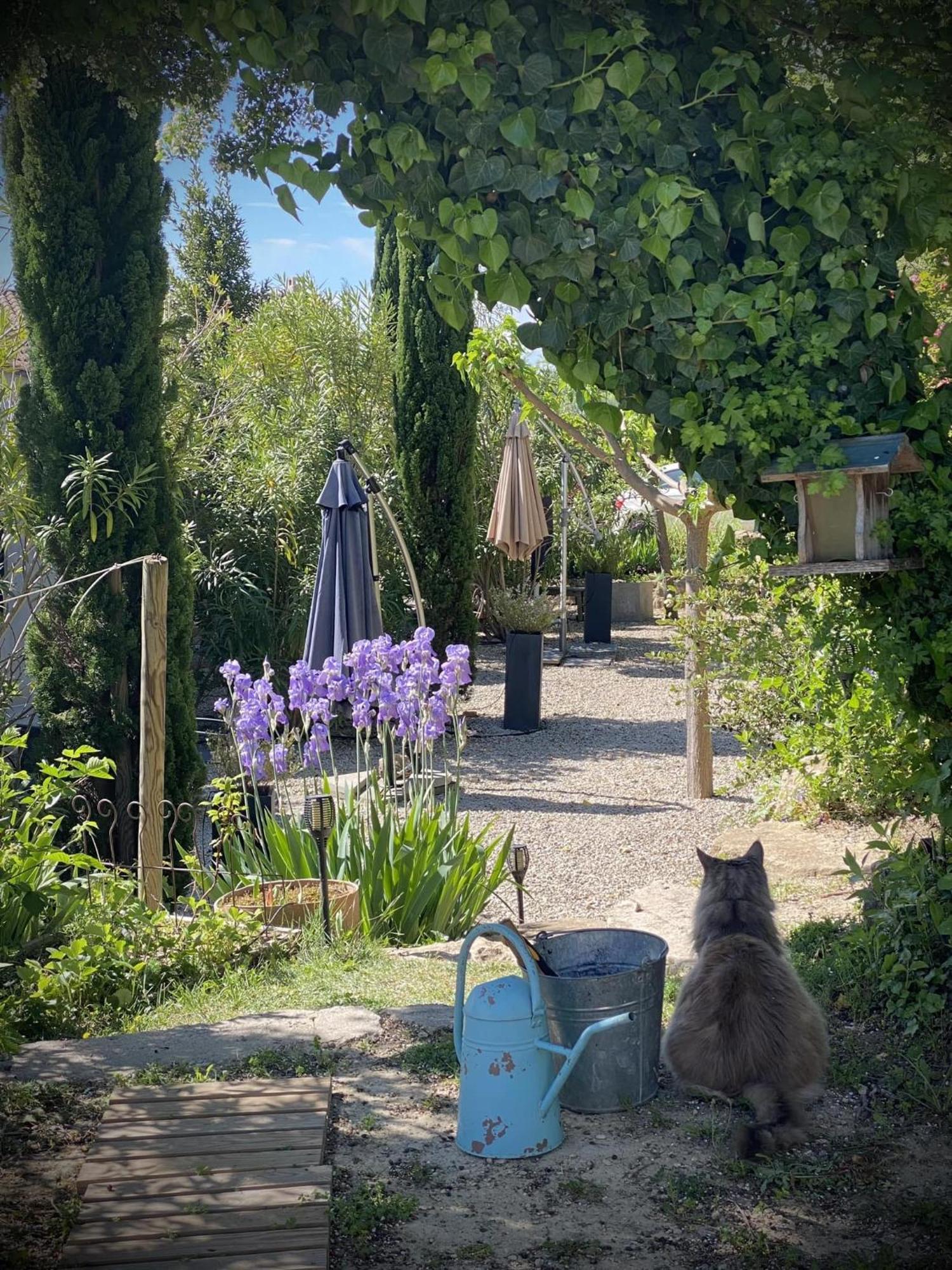 Willa Le Jardin De Lau Aubignan Zewnętrze zdjęcie